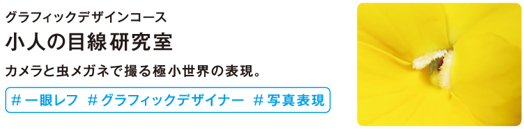 小人の目線研究室